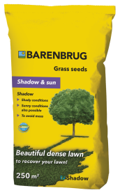 Vėjos sėkla BARENBRUG Shadow